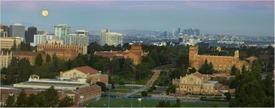 How to Choose the ideal Essay Producing Services