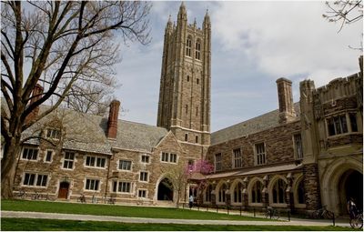 Things to ask Before You Take an Project